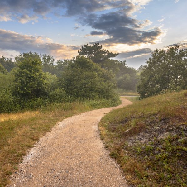 Spectacular Hazy Sunset over walking track in the dunes in Zwanenwater which is a nature reserve in the dunes of Callantsoog, The Netherlands.